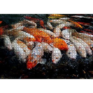 Su Üzerine Çıkmış Koi Balıkları Yağlı Boya Çizim Puzzle Yapboz Mdf Ahşap 1000 Parça
