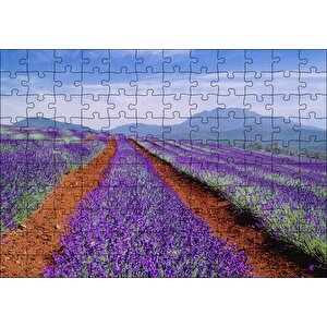 Avustralya Tazmanya Lavanta Tarlaları Puzzle Yapboz Mdf Ahşap 120 Parça