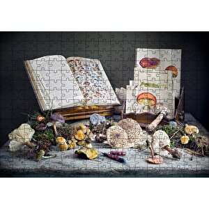 Çeşitli Mantarlar Ve Mantarlara Dair Kitaplar Puzzle Yapboz Mdf Ahşap 255 Parça