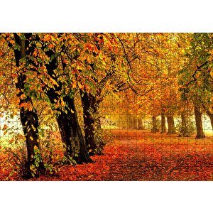 Sonbahar Orman Yolu Ve Yapraklar Puzzle Yapboz Mdf Ahşap 500 Parça