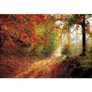 Sonbahar Renkleri, Yapraklar Ve Ormandaki Patika Puzzle Yapboz Mdf Ahşap 120 Parça