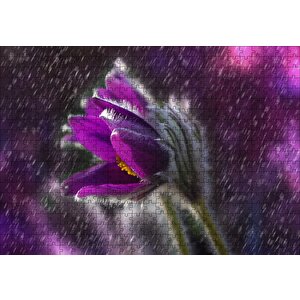 Mor Papatya Yağmur Damlaları Ve Güneş Işığı Puzzle Yapboz Mdf Ahşap 500 Parça
