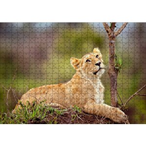 Dişi Genç Aslan Puzzle Yapboz Mdf Ahşap 500 Parça
