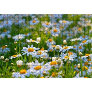Papatya Tarlası Puzzle Yapboz Mdf Ahşap 500 Parça
