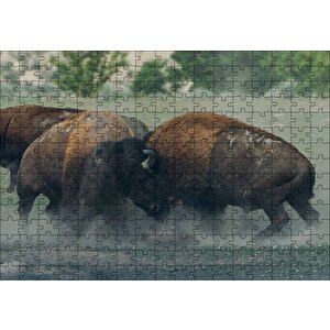 Toslaşan Bizonlar Puzzle Yapboz Mdf Ahşap 255 Parça