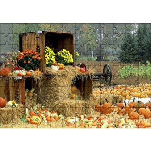 Kabaklar Samanlar Ve Kasalar Puzzle Yapboz Mdf Ahşap 120 Parça