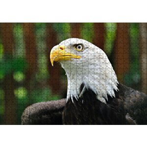 Akbaşlı Kartal Yakın Plan Puzzle Yapboz Mdf Ahşap 500 Parça