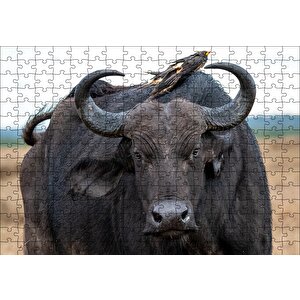 Buffalo Ve Sırtındaki Kuş Arkadaşları Puzzle Yapboz Mdf Ahşap 255 Parça