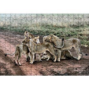 Toprak Yolun Ortasında Aslan Ailesi Puzzle Yapboz Mdf Ahşap 255 Parça