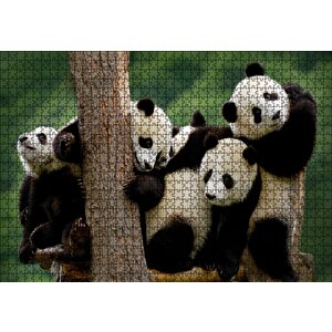 Sevimli Panda Yavruları Puzzle Yapboz Mdf Ahşap 1000 Parça