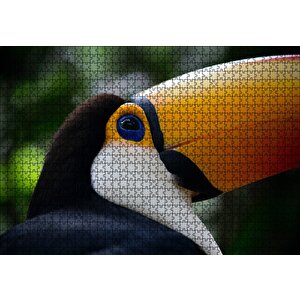 Muhteşem Renkleriyle Tukan Kuşu Puzzle Yapboz Mdf Ahşap 1000 Parça