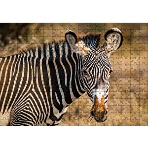 Zebra Ve Muhteşem Dalgalı Şeritleri Puzzle Yapboz Mdf Ahşap 255 Parça