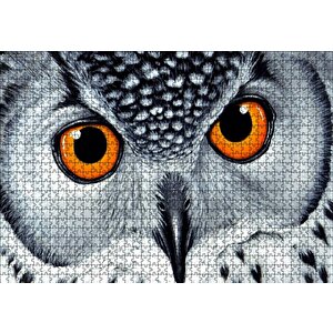 Turuncu Gözlü Kar Baykuşu Yakın Plan Puzzle Yapboz Mdf Ahşap 1000 Parça