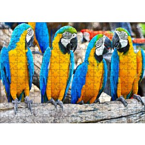 Daldaki Sarı Mavi Macaw Papağanları Puzzle Yapboz Mdf Ahşap 255 Parça