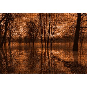 Sonbaharda Kızıl Gökler Ve Çıplak Ağaçlar Puzzle Yapboz Mdf Ahşap 1000 Parça