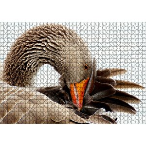 Kanadını Temizleyen Kahverengi Kaz Görseli Puzzle Yapboz Mdf Ahşap 1000 Parça