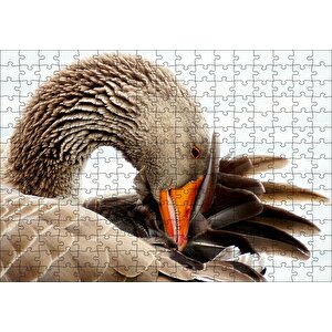 Cakapuzzle  Kanadını Temizleyen Kahverengi Kaz Görseli Puzzle Yapboz Mdf Ahşap