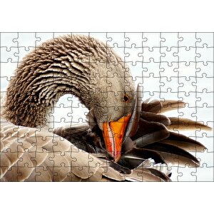 Kanadını Temizleyen Kahverengi Kaz Görseli Puzzle Yapboz Mdf Ahşap 120 Parça