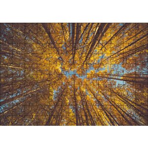Orman Zeminden Yukarı Bakış Sarı Ağaçlar Puzzle Yapboz Mdf Ahşap 120 Parça
