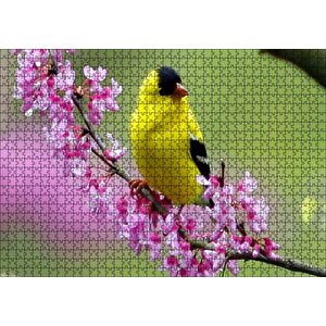 Pembe Çiçekli Dalda Sarı Siyah Kuş Puzzle Yapboz Mdf Ahşap 1000 Parça