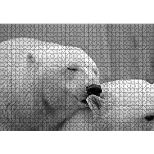 Uyuklayan Kutup Ayısı Puzzle Yapboz Mdf Ahşap 1000 Parça