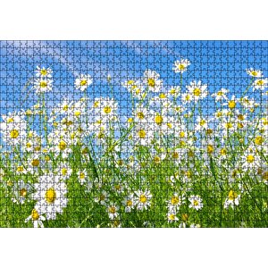 Beyaz Papatyalar Ve Mavi Gökyüzü Puzzle Yapboz Mdf Ahşap 1000 Parça