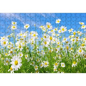 Beyaz Papatyalar Ve Mavi Gökyüzü Puzzle Yapboz Mdf Ahşap 255 Parça