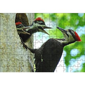 Ağaçkakan Ve Yuvada Aç Yavruları Puzzle Yapboz Mdf Ahşap 120 Parça