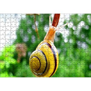 Ağaç Dalı Üzerindeki Salyangoz Yakın Plan Puzzle Yapboz Mdf Ahşap 255 Parça