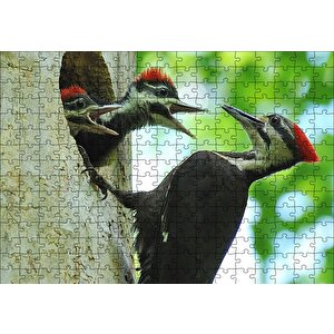Ağaçkakan Ve Yuvada Aç Yavruları Puzzle Yapboz Mdf Ahşap 255 Parça