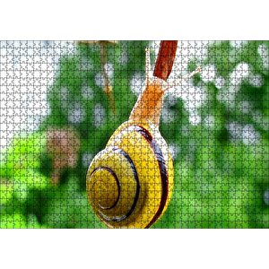 Ağaç Dalı Üzerindeki Salyangoz Yakın Plan Puzzle Yapboz Mdf Ahşap 1000 Parça
