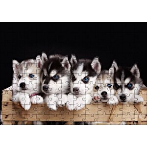 Tahta Kasa İçinde Beş Husky Yavrusu Puzzle Yapboz Mdf Ahşap 120 Parça