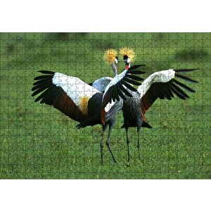 Çayırda Dans Eden Turnalar Puzzle Yapboz Mdf Ahşap 500 Parça