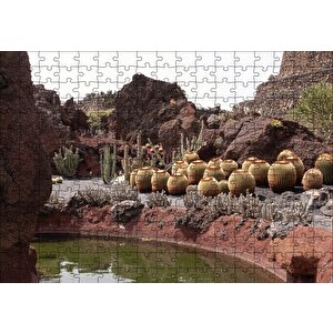 Yuvarlak Kaktüsler Ve Kayalar Puzzle Yapboz Mdf Ahşap 255 Parça