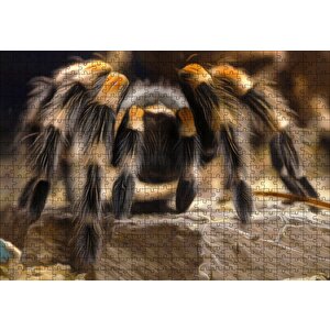 Tarantula Dijital Çizim Puzzle Yapboz Mdf Ahşap 500 Parça