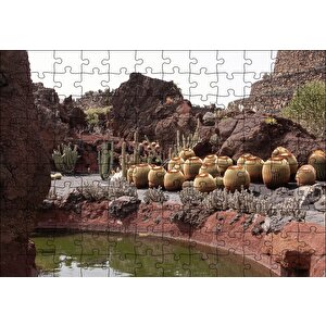 Yuvarlak Kaktüsler Ve Kayalar Puzzle Yapboz Mdf Ahşap 120 Parça