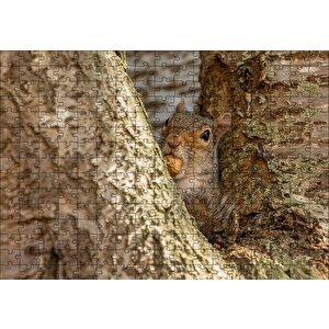 Cakapuzzle  Ağacın Dalları Arasındaki Sincap Puzzle Yapboz Mdf Ahşap