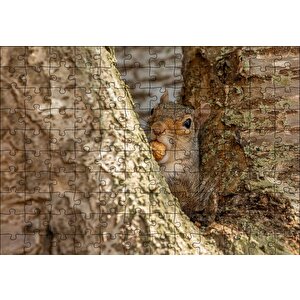 Ağacın Dalları Arasındaki Sincap Puzzle Yapboz Mdf Ahşap 120 Parça