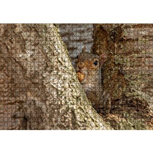 Ağacın Dalları Arasındaki Sincap Puzzle Yapboz Mdf Ahşap 1000 Parça