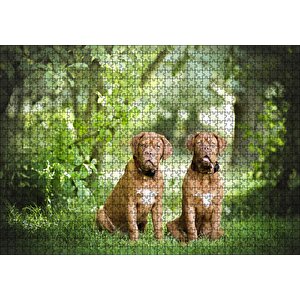 Yeşil Ağaçlar Arasındaki Kahverengi Boxerlar Puzzle Yapboz Mdf Ahşap 1000 Parça