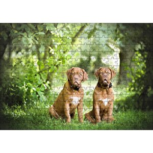 Yeşil Ağaçlar Arasındaki Kahverengi Boxerlar Puzzle Yapboz Mdf Ahşap 255 Parça