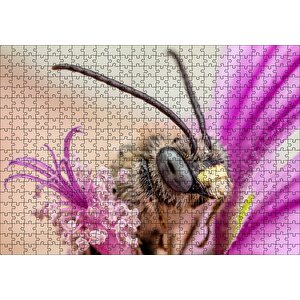 Cakapuzzle Eflatun Çiçeklerin Arasında Boynuzlu Arı Yakın Çekim Puzzle Yapboz Mdf Ahşap