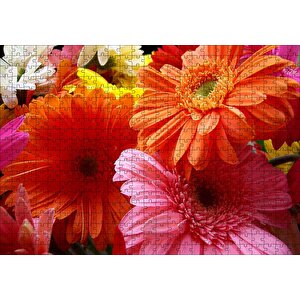 Gerbera Çiçekleri Turunculu Pembeli Puzzle Yapboz Mdf Ahşap 500 Parça