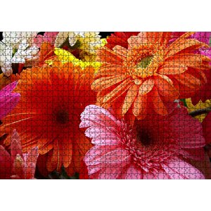 Cakapuzzle  Gerbera Çiçekleri Turunculu Pembeli Puzzle Yapboz Mdf Ahşap