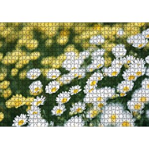Beyaz Papatyalar Ve Arkada Flu Sarı Papatyalar Puzzle Yapboz Mdf Ahşap 1000 Parça