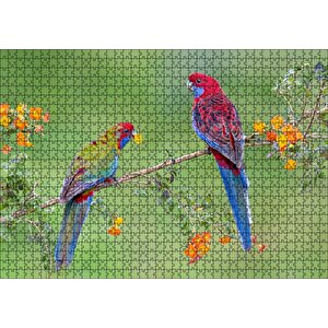 Çiçekli Dal Üzerindeki Renkli Papağanlar Puzzle Yapboz Mdf Ahşap 1000 Parça