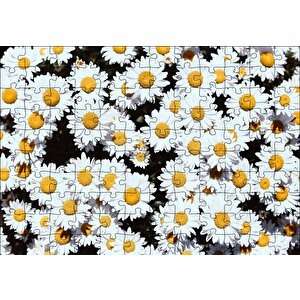 Bembeyaz Papatyalar Puzzle Yapboz Mdf Ahşap 120 Parça