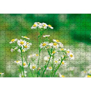 Beyaz Papatyalar Flu Arkaplan Puzzle Yapboz Mdf Ahşap 255 Parça