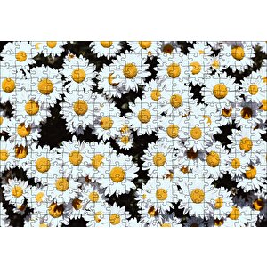 Bembeyaz Papatyalar Puzzle Yapboz Mdf Ahşap 255 Parça