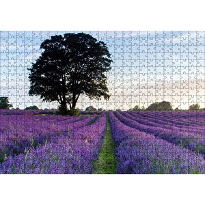 Cakapuzzle  Lavanta Tarlaları Ve Yalnız Ağaç Puzzle Yapboz Mdf Ahşap